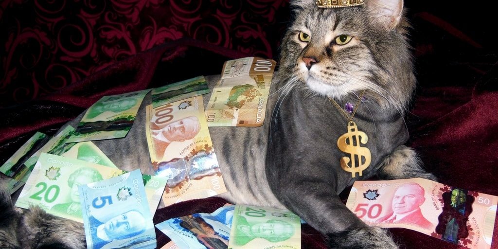 Canadian dollar