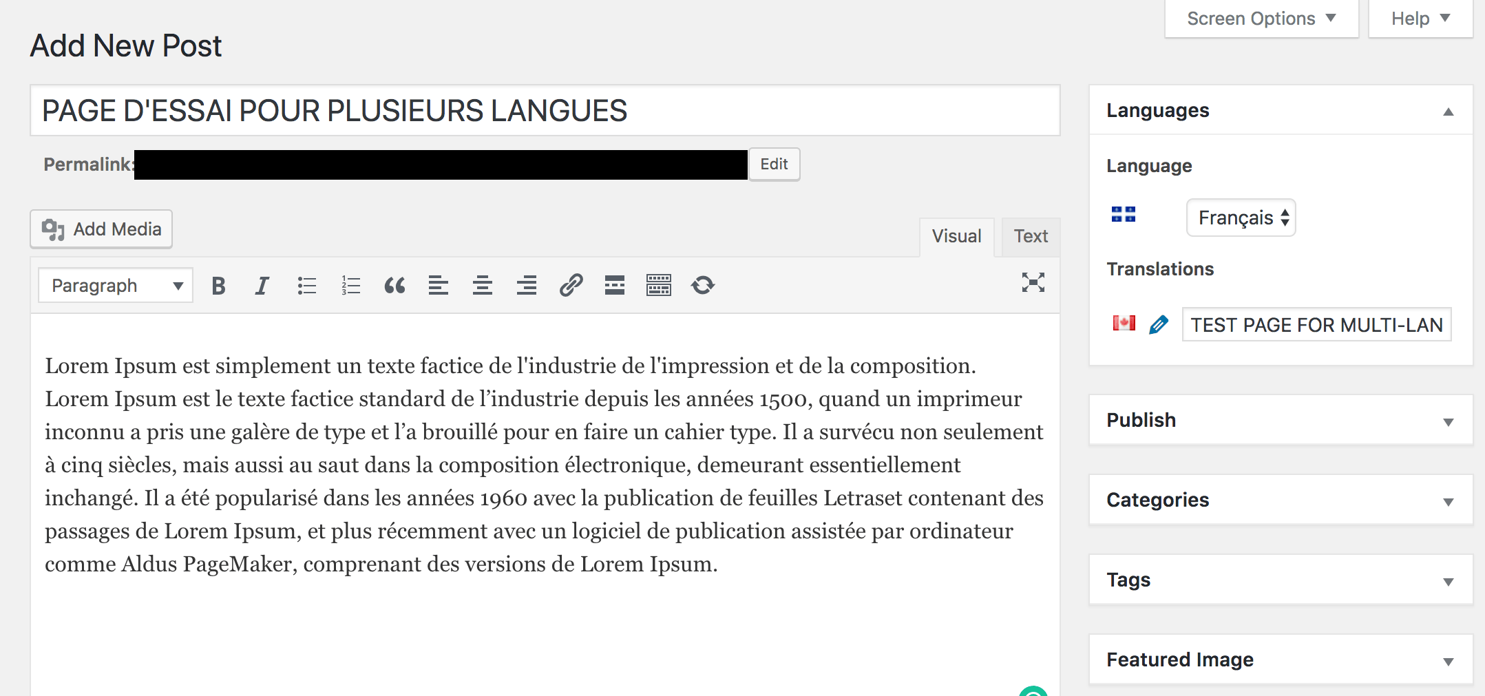 French translation example